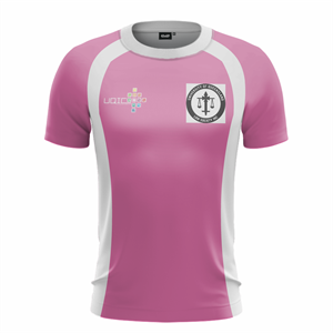 UQIC Falcons Football Jersey. (x 10)