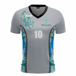 Volleyball Block Club Jersey ($29 - $41). (x 10)